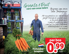  groente vers telers bospeen teler zorg geteeld land geoogst snack frisse salade smaakvolle maaltijd puur nederlands kwaliteitsproduct versheid hollandse bos 99 