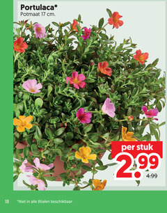  tuinplanten portulaca 17 18 potmaat cm beschikbaar stuk 