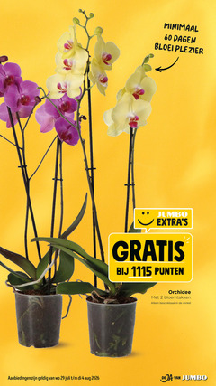 klik op dit plaatje voor een vergroting en voor vergelijkbare aanbiedingen gerelateerd aan
orchidee 2 4 60 minimaal dagen bloei plezier jumbo punten bloemtakken beschikbaar orchidee 2 4 60 minimaal dagen bloei plezier jumbo punten bloemtakken beschikbaar