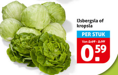  sla ijsbergsla kropsla stuk 