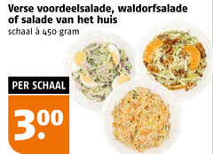  450 verse waldorfsalade salade huis schaal 30 