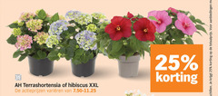 klik op dit plaatje voor een vergroting en voor vergelijkbare aanbiedingen gerelateerd aan
tuinhortensia 25 terrashortensia hibiscus xxl varieeren tuinhortensia 25 terrashortensia hibiscus xxl varieeren