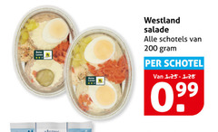  1 200 leven westland salade schotels schotel 