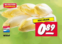  witlof 500 holland 