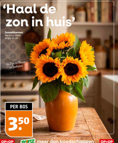 klik op dit plaatje voor een vergroting en voor vergelijkbare aanbiedingen gerelateerd aan
5 11 60 350 zon huis zonnebloemen bos stelen lengte cm dijkstra flowers 5 11 60 350 zon huis zonnebloemen bos stelen lengte cm dijkstra flowers