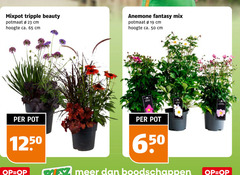 klik op dit plaatje voor een vergroting en voor vergelijkbare aanbiedingen gerelateerd aan
tuinplanten 19 23 50 65 650 mixpot tripple beauty potmaat cm hoogte ca. anemone fantasy mix pot tuinplanten 19 23 50 65 650 mixpot tripple beauty potmaat cm hoogte ca. anemone fantasy mix pot