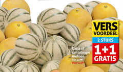 klik op dit plaatje voor een vergroting en voor vergelijkbare aanbiedingen gerelateerd aan
meloen 1 2 galia cantaloupe vers voordeel stuks meloen 1 2 galia cantaloupe vers voordeel stuks
