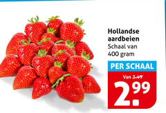  aardbeien 400 hollandse schaal 