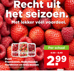  recht seizoen voordeel frambozen nederlandse aardbeien rode bessen schaal 2 99 