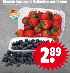  blauwe bessen aardbeien 300 500 hollandse bak bodem 
