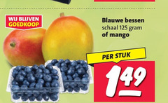  blauwe bessen mango schaal stuk 