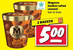  magnum ijsspecialiteit 2 10 12 500 bonbon salted diepvries caramel bak stuks bakken bon 