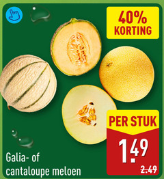  meloen 40 galia cantaloupe stuk 