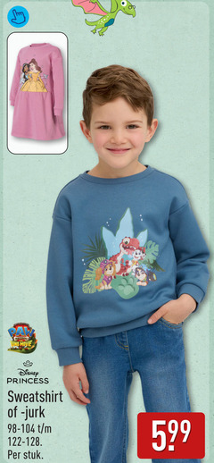  paw patrol dino movie disney princess sweatshirt jurk stuk 