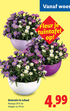  17 23 fleur tuintafel schaal potmaat cm hoogte ca. 