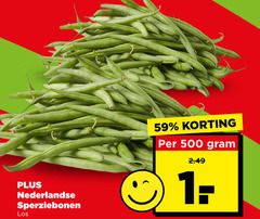  sperziebonen 500 nederlandse 