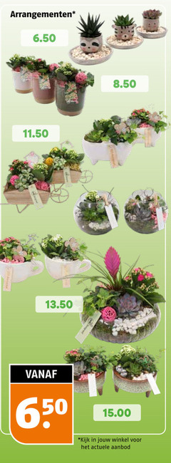  650 arrangementen aanbod 