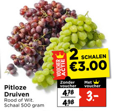  2 500 pitloze druiven rood wit schaal voucher schalen 