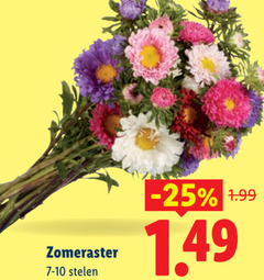 klik op dit plaatje voor een vergroting en voor vergelijkbare aanbiedingen gerelateerd aan
zomeraster stelen zomeraster stelen