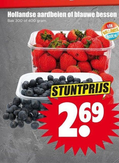  aardbeien blauwe bessen 300 400 bak hollandse bodem 