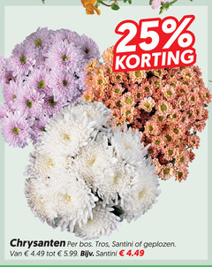 klik op dit plaatje voor een vergroting en voor vergelijkbare aanbiedingen gerelateerd aan
25 chrysanten bos tros santini geplozen 5.99 25 chrysanten bos tros santini geplozen 5.99