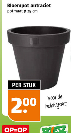  25 200 bloempot antraciet potmaat cm stuk bolchrysant 