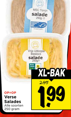  salade 250 tonijn verse salades soorten vrije bieslook xl bak 