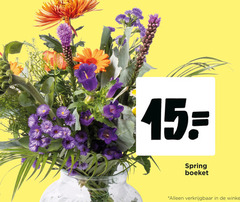  boeket 15 spring 