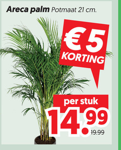 klik op dit plaatje voor een vergroting en voor vergelijkbare aanbiedingen gerelateerd aan
areca palm 5 potmaat cm stuk 14 99 areca palm 5 potmaat cm stuk 14 99