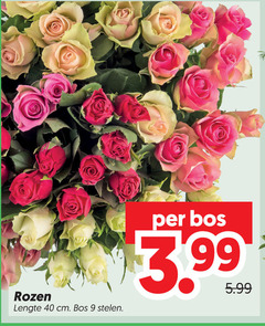  rozen 9 40 lengte cm bos stelen 3.99 5.99 