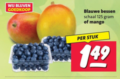  blauwe bessen mango schaal stuk 