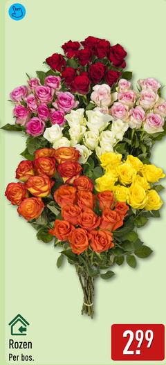  rozen bos 