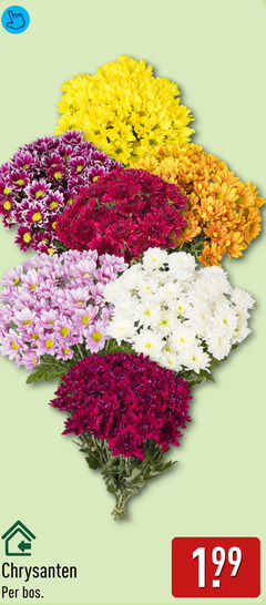 klik op dit plaatje voor een vergroting en voor vergelijkbare aanbiedingen gerelateerd aan
chrysanten bos chrysanten bos