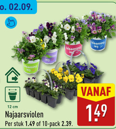  violen 10 12 cm najaarsviolen stuk pack 