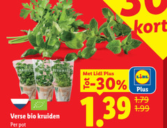  verse bio kruiden pot 