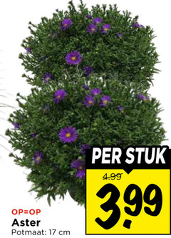  tuinplanten 17 potmaat cm stuk 3.99 