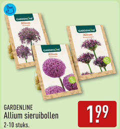  gardenline allium ambassador stuks 