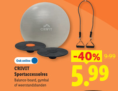  online crivit sportaccessoires balance board gymbal 5.99 