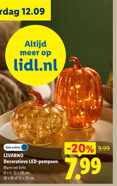 klik op dit plaatje voor een vergroting en voor vergelijkbare aanbiedingen gerelateerd aan
12 13 18 20 23 lidl.nl online livarno decoratieve led pompoen warm wit licht cm 12 13 18 20 23 lidl.nl online livarno decoratieve led pompoen warm wit licht cm