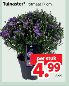 klik op dit plaatje voor een vergroting en voor vergelijkbare aanbiedingen gerelateerd aan
tuinplanten 17 tuinaster potmaat cm stuk tuinplanten 17 tuinaster potmaat cm stuk