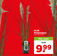 klik op dit plaatje voor een vergroting en voor vergelijkbare aanbiedingen gerelateerd aan
tuinplanten 19 pampasgras potmaat cm stuk tuinplanten 19 pampasgras potmaat cm stuk