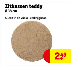  zitkussen teddy cm 