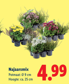  tuinplanten 25 potmaat cm hoogte ca. 