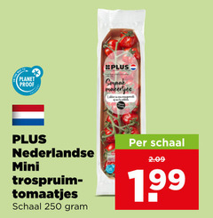 klik op dit plaatje voor een vergroting en voor vergelijkbare aanbiedingen gerelateerd aan
cherry tomaten 250 planet proof nederlandse mini tomaatjes schaal cherry tomaten 250 planet proof nederlandse mini tomaatjes schaal