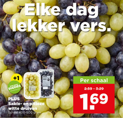  druiven dag vers 1 beter buddies pitloze witte sable schaal 