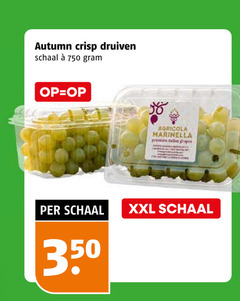  druiven 350 750 autumn crisp schaal marinella premium allan grapes xxl 