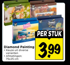 daard painting davand domand fainting diamond   a keuze uit diverse varianten afmetingen   75x25 cm per stuk 3.99 