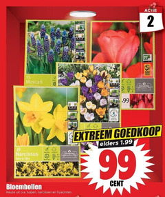 klik op dit plaatje voor een vergroting en voor vergelijkbare aanbiedingen gerelateerd aan
2 8 15 99 muscari sleeping narcissus 12 14 extreem beauties quality bulbs plants elders bloembollen o.a. tulpen narcissen hyacinten cent 2 8 15 99 muscari sleeping narcissus 12 14 extreem beauties quality bulbs plants elders bloembollen o.a. tulpen narcissen hyacinten cent
