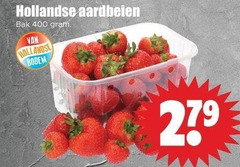 aardbeien 400 hollandse bak bodem 27 