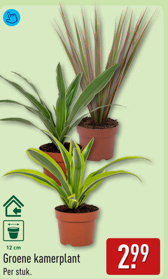 klik op dit plaatje voor een vergroting en voor vergelijkbare aanbiedingen gerelateerd aan
kamerplanten 12 cm groene kamerplant stuk kamerplanten 12 cm groene kamerplant stuk